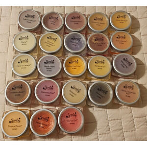 Scentsy Lot of 23 Mini Party Testers Scented Wax Melts - NO Duplicates